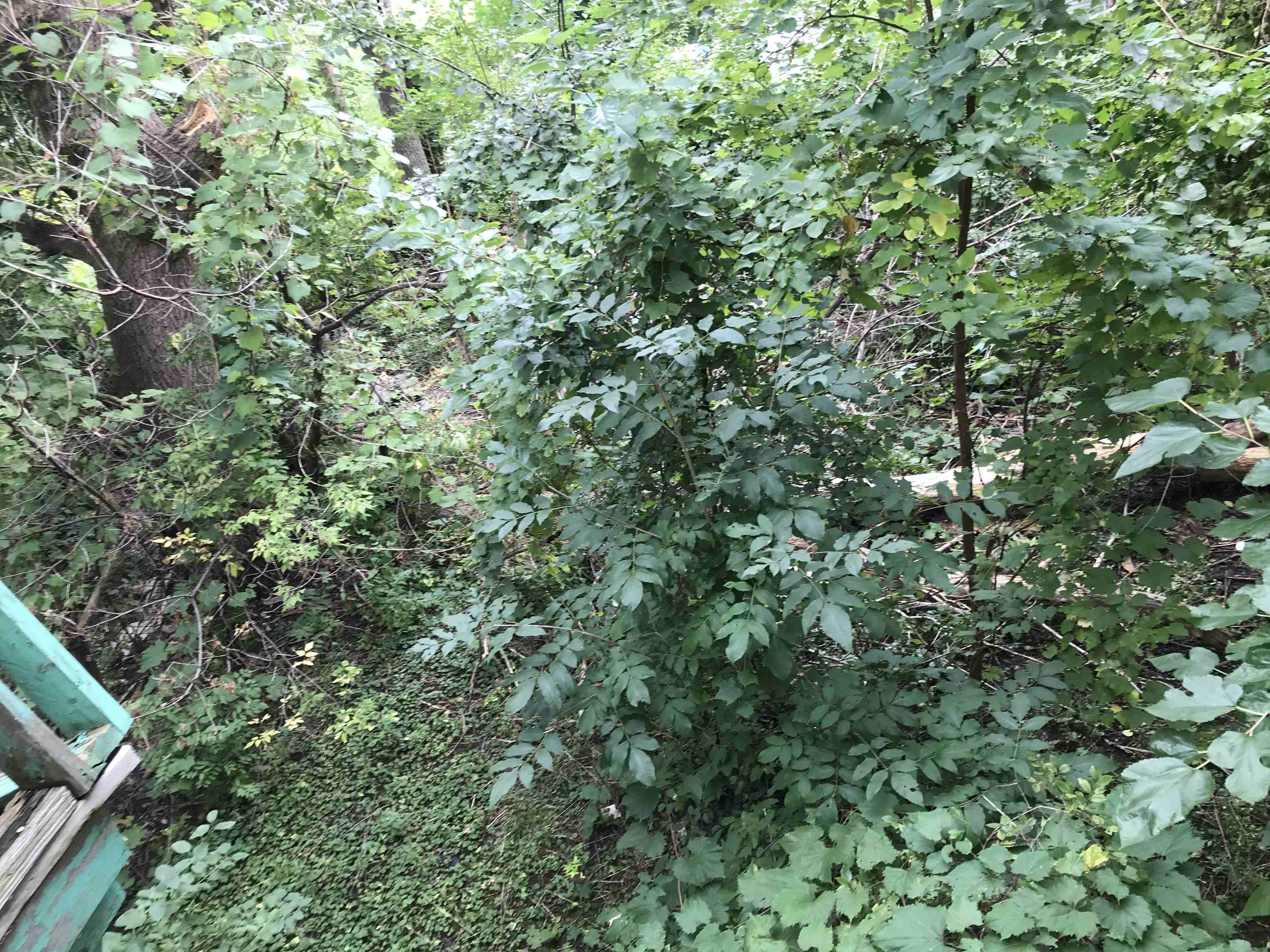 Photo Sep 10, 3 22 22 PM.jpg